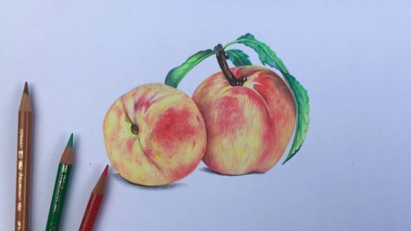 How To Draw Peach Fruit With Colored Pencil