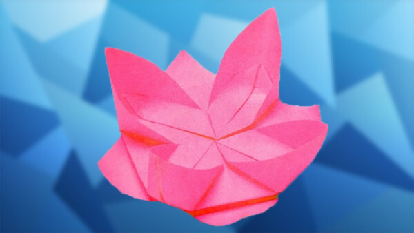 How To Fold Water Lily Flower Origami