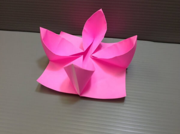 DIY Water Lily Flower Origami