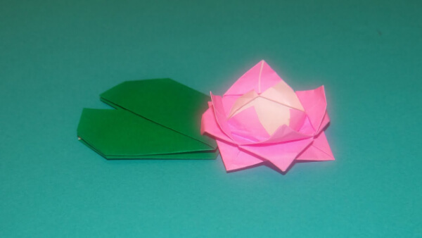 How To Make An Water Lily Origami Flower Paper Craft With Kids