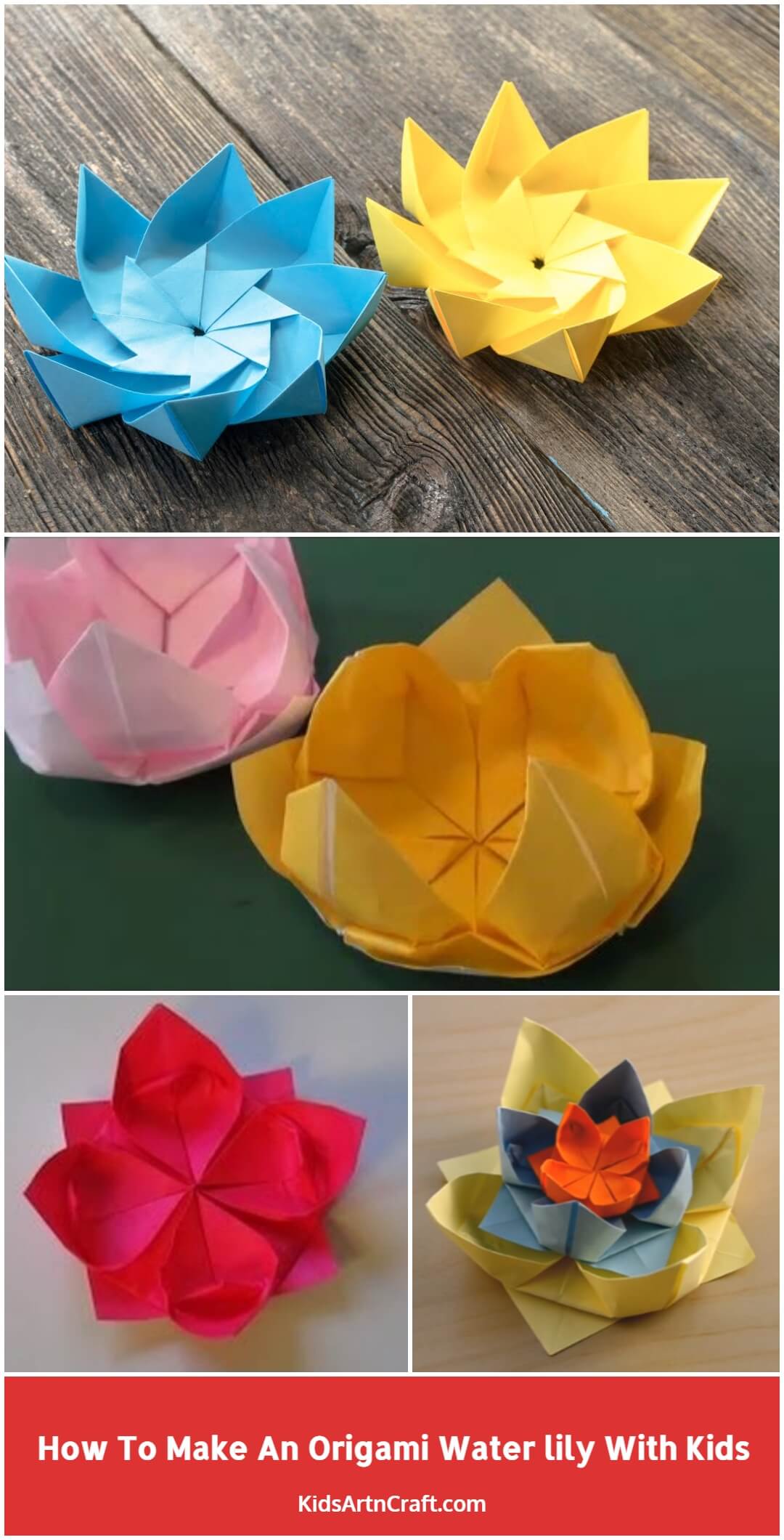 How To Make An Origami Water lily With Kids