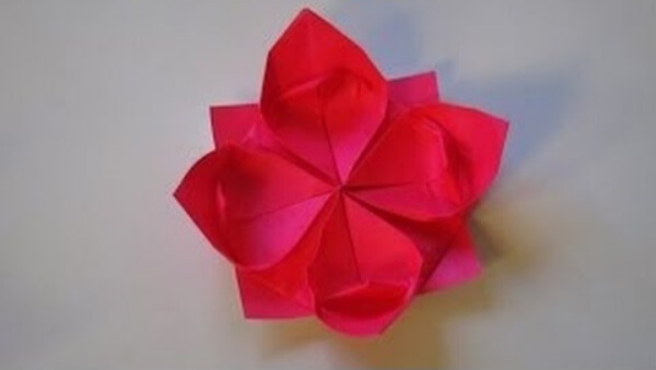 How To Make An Water Lily Flower Origami For Kids