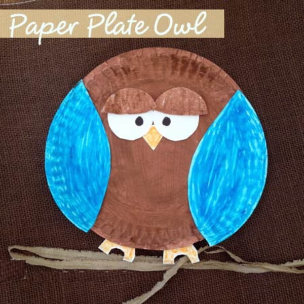 How To Make Paper Plate Owl Craft