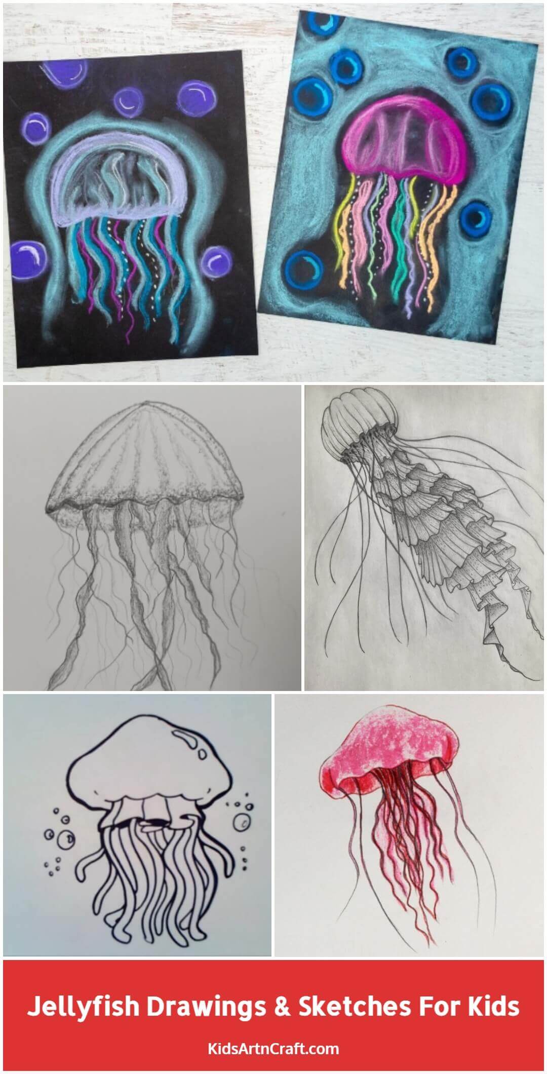 Jellyfish Drawings & Sketches For Kids