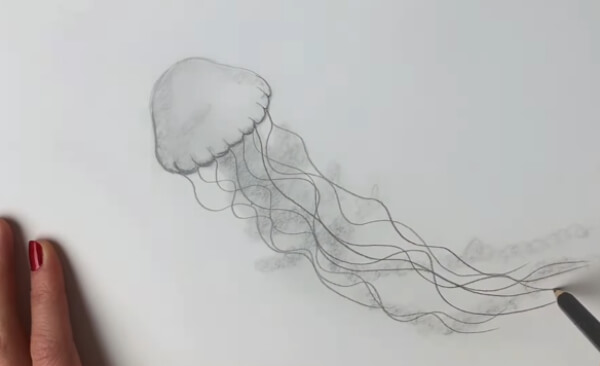 Jellyfish Drawings & Sketches For Kids Jellyfish Drawing & Sketch Ideas For Kids