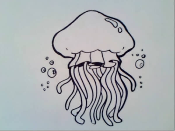 Jellyfish Drawing Step By Step