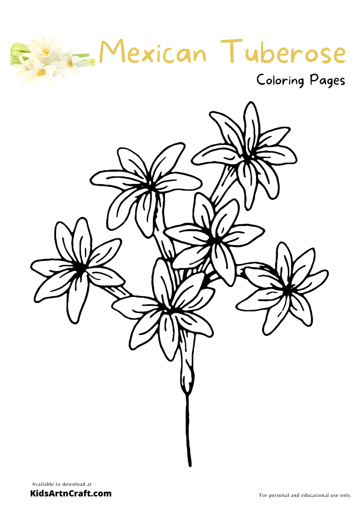 Mexican Tuberose Coloring Pages For Kids 