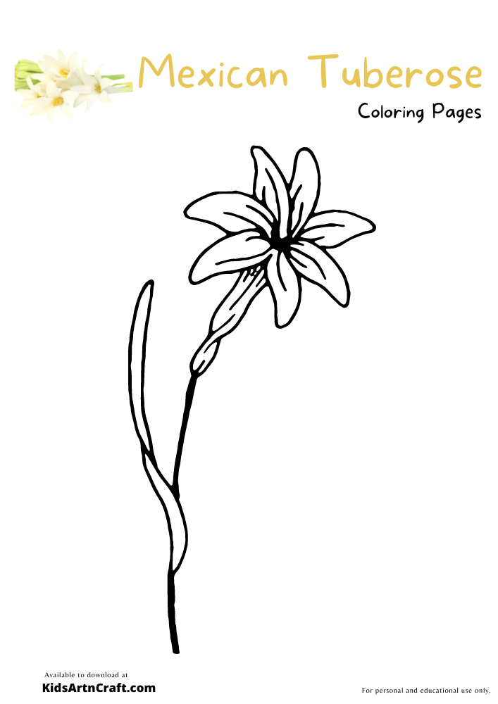 Mexican Tuberose Coloring Pages For Kids
