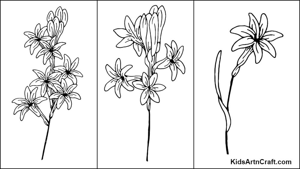 Mexican Tuberose Coloring Pages For Kids – Free Printables