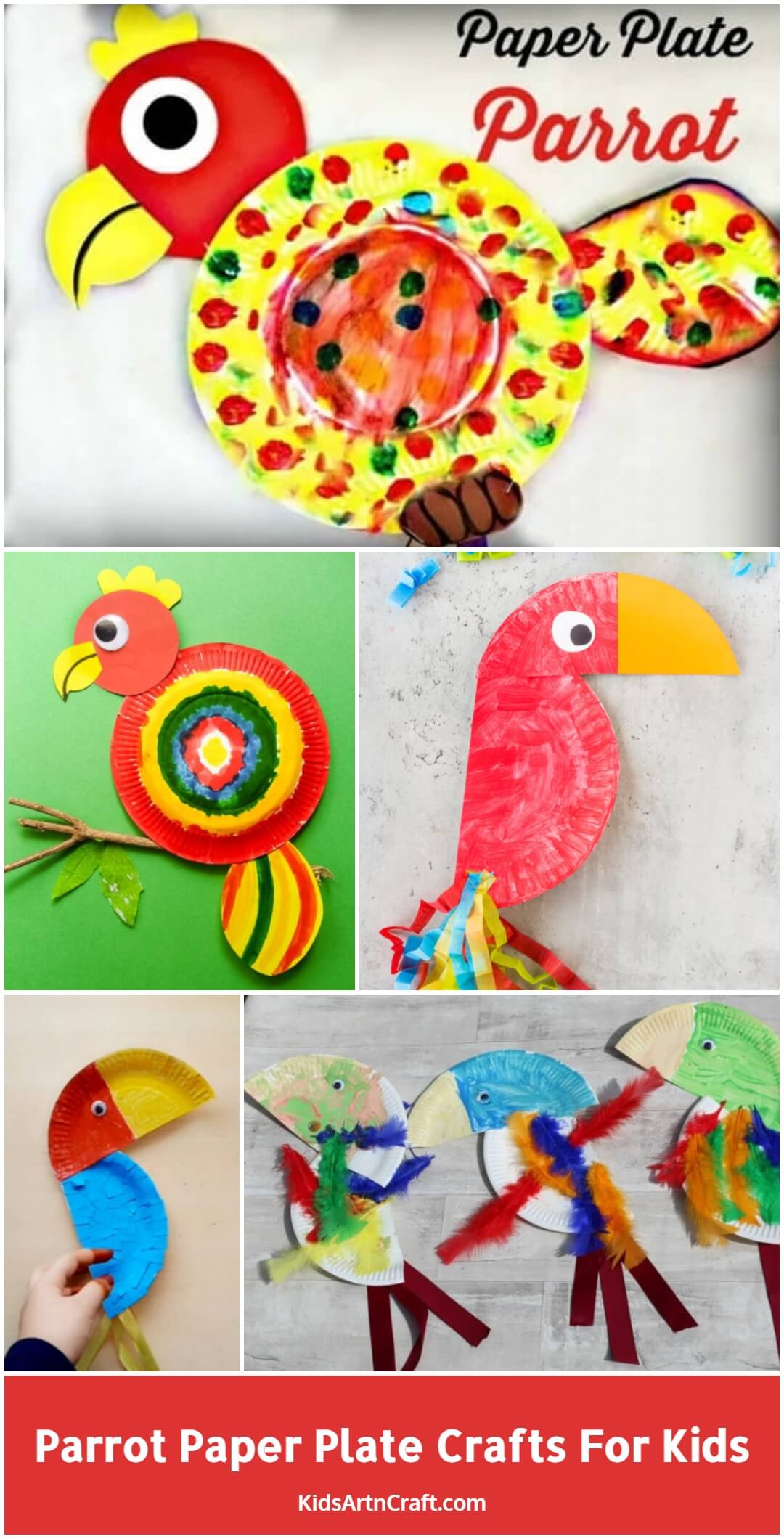 Parrot Paper Plate Crafts for Kids
