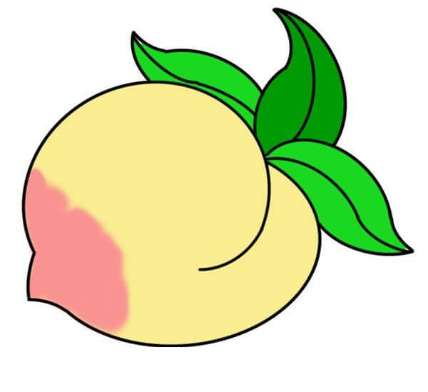 Peach Fruit Drawing Tutorial