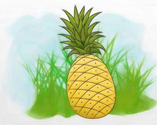 Pineapple Drawing & Sketch With Easy Steps For Kids