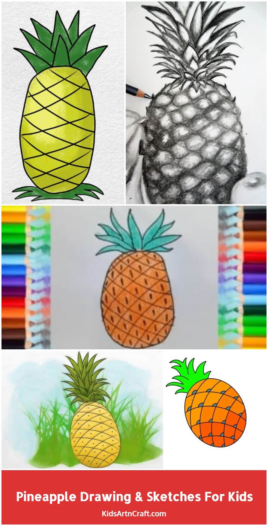 Pineapple Drawing & Sketches For Kids