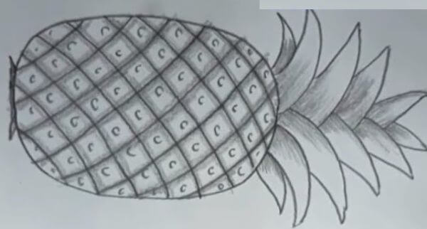 Pineapple Fruit Pencil Drawing & Sketch For Kids