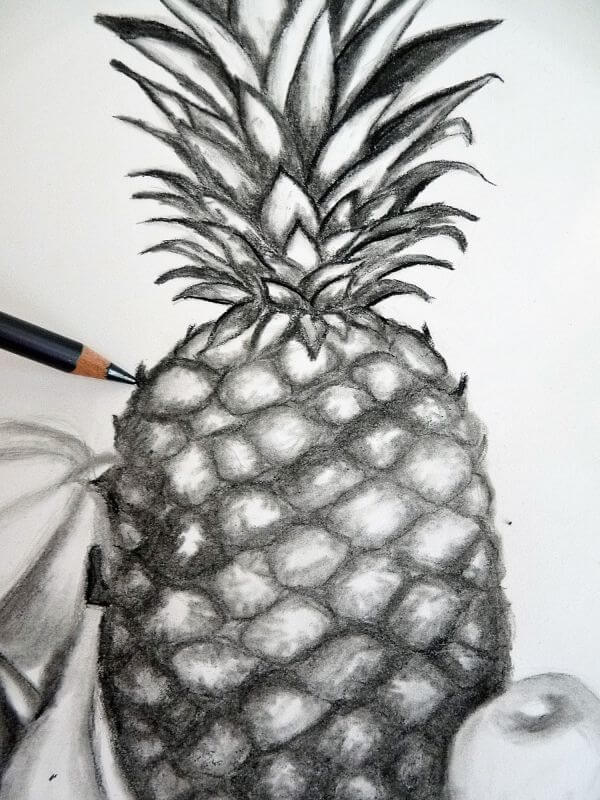 Pineapple Fruit Pencil Drawing & Sketch For Kids