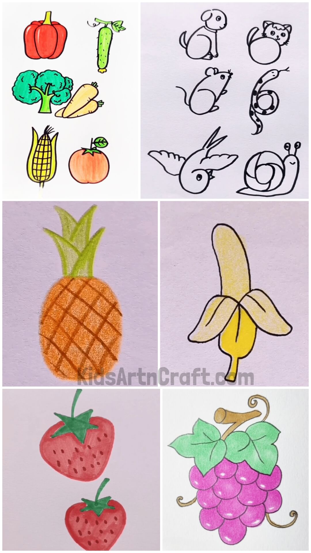 Simple Drawings for Kids - Fruits, Vegetables & Animals