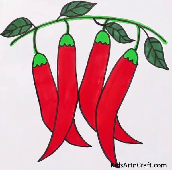 Red Chilli Coloring & Drawing School Project Fruit & Vegetables Drawing Projects For Kids