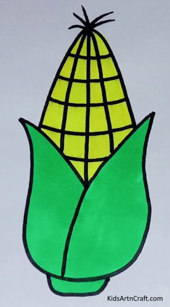 Corn Coloring & Drawing Project For Preschoolers