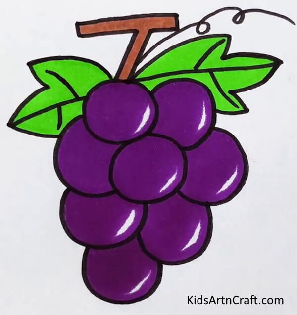 Grapes Drawing & Coloring Project For Kids