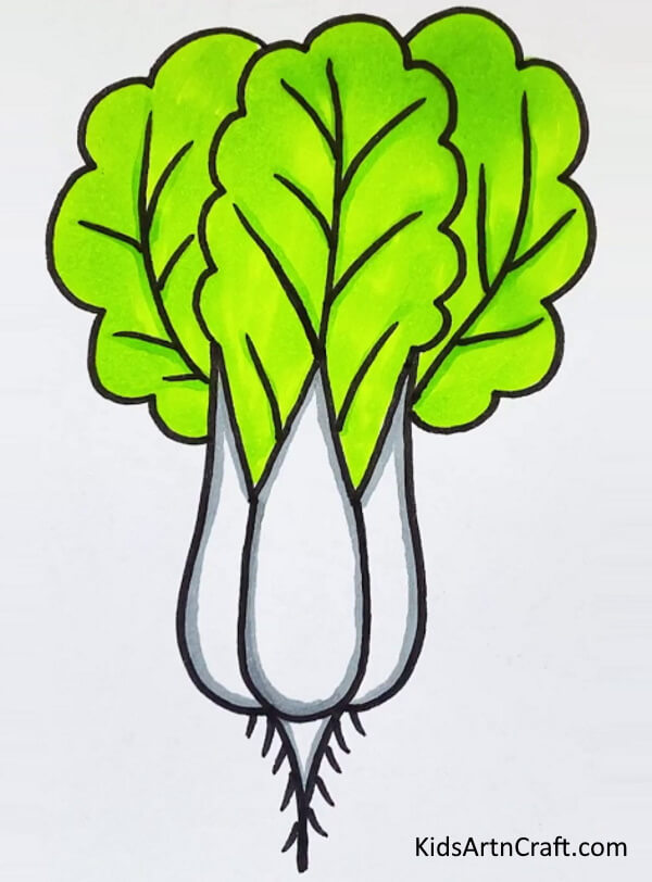 Radish Drawing & Coloring School Project For Kids Fruit & Vegetables Drawing Projects For Kids 