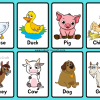 Animal Flashcards for Kindergarten Featured Image