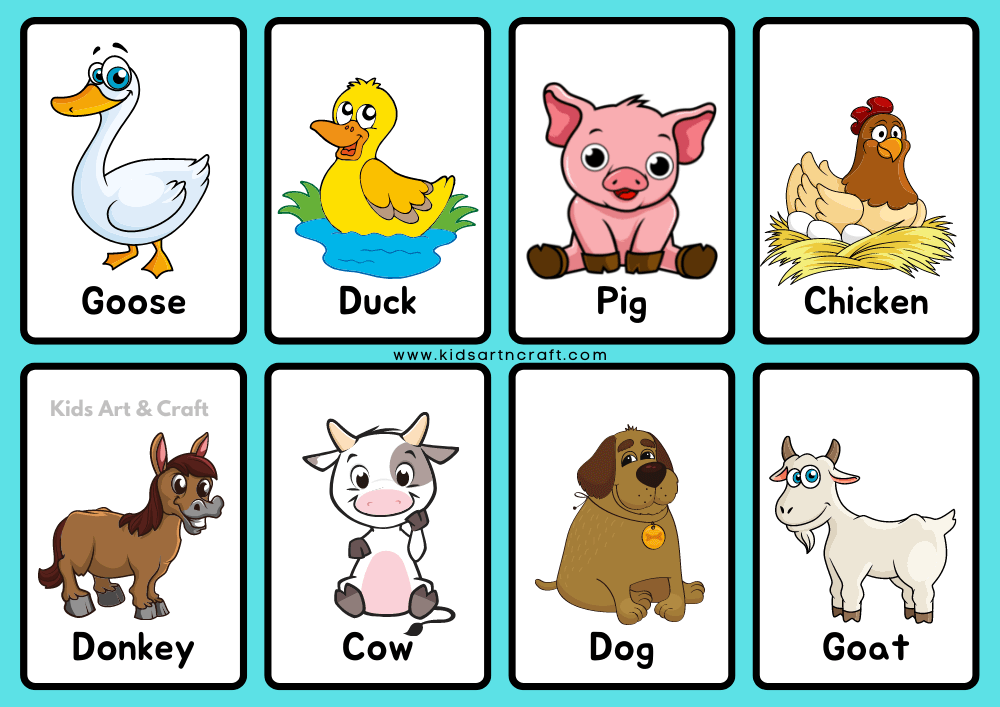 Animal Flashcards for Kindergarten - Free Printable - Kids Art & Craft