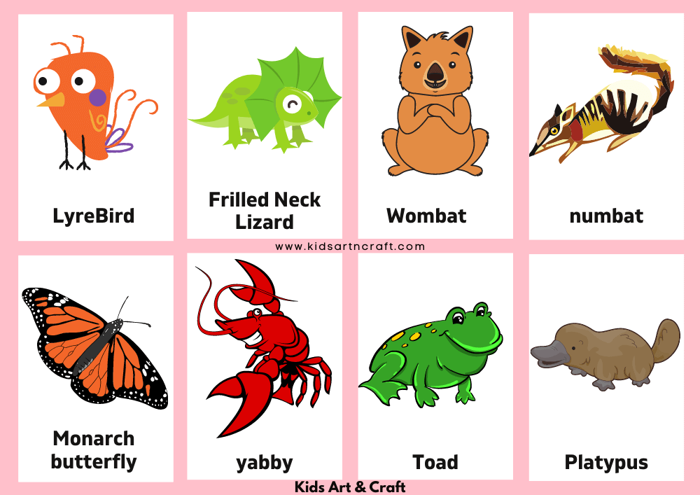 Australian Animals Flashcards 