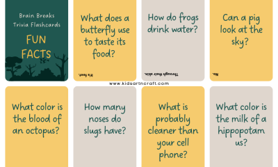 Brain Break Questions Flashcards Featured Image