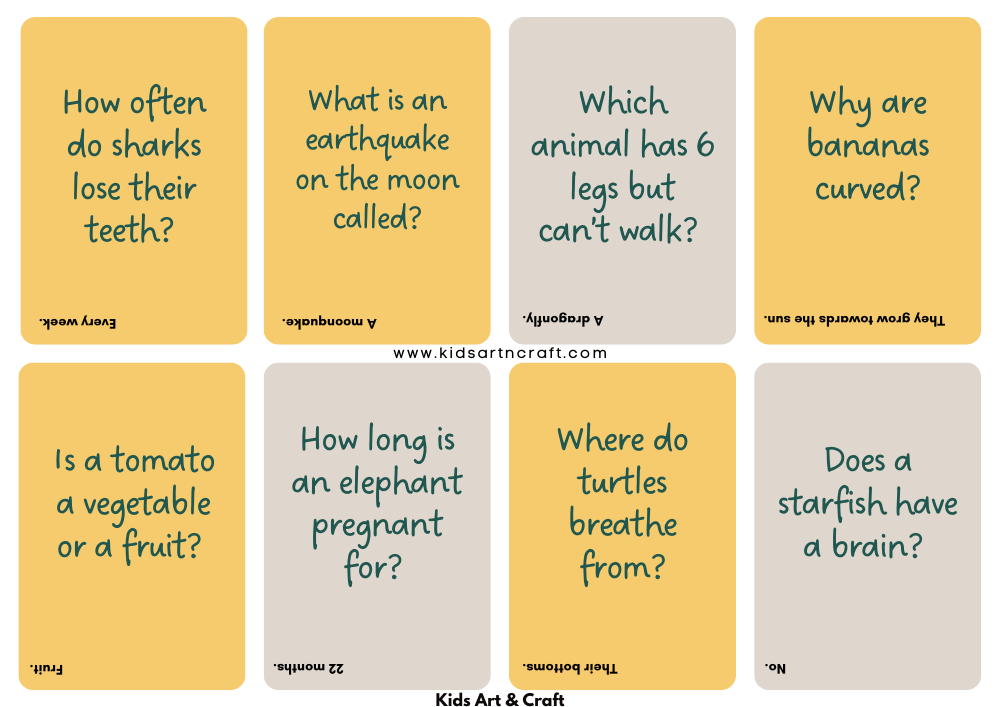 Brain Break Questions Flashcards