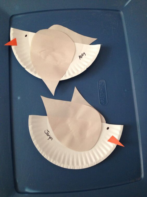 Cute Gull Craft With Paper Plate For Kids