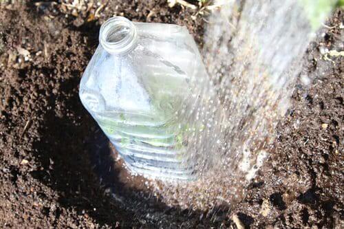 DIY How To Use Bottle Greenhouses For Kids DIY Plastic Bottle Planter Ideas