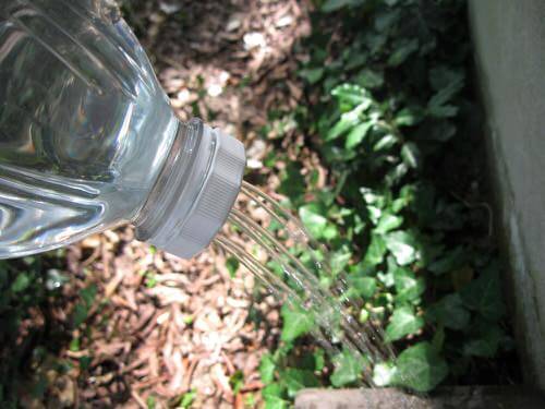 DIY Empty Juice Bottle Watering Can Garden Craft Idea