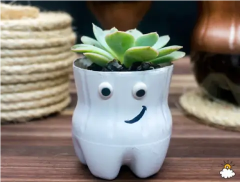 DIY Smiley Face Succulent For Kids 