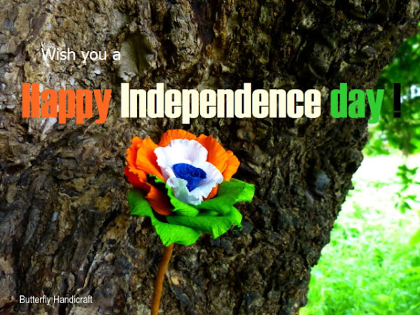 Tricolor Flower Decoration For Independence Day