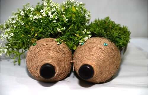 Easy To Make Hedgehog Planters for Your Garden from Plastic Bottles