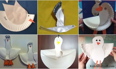 Gull Paper Plate Crafts For Kids