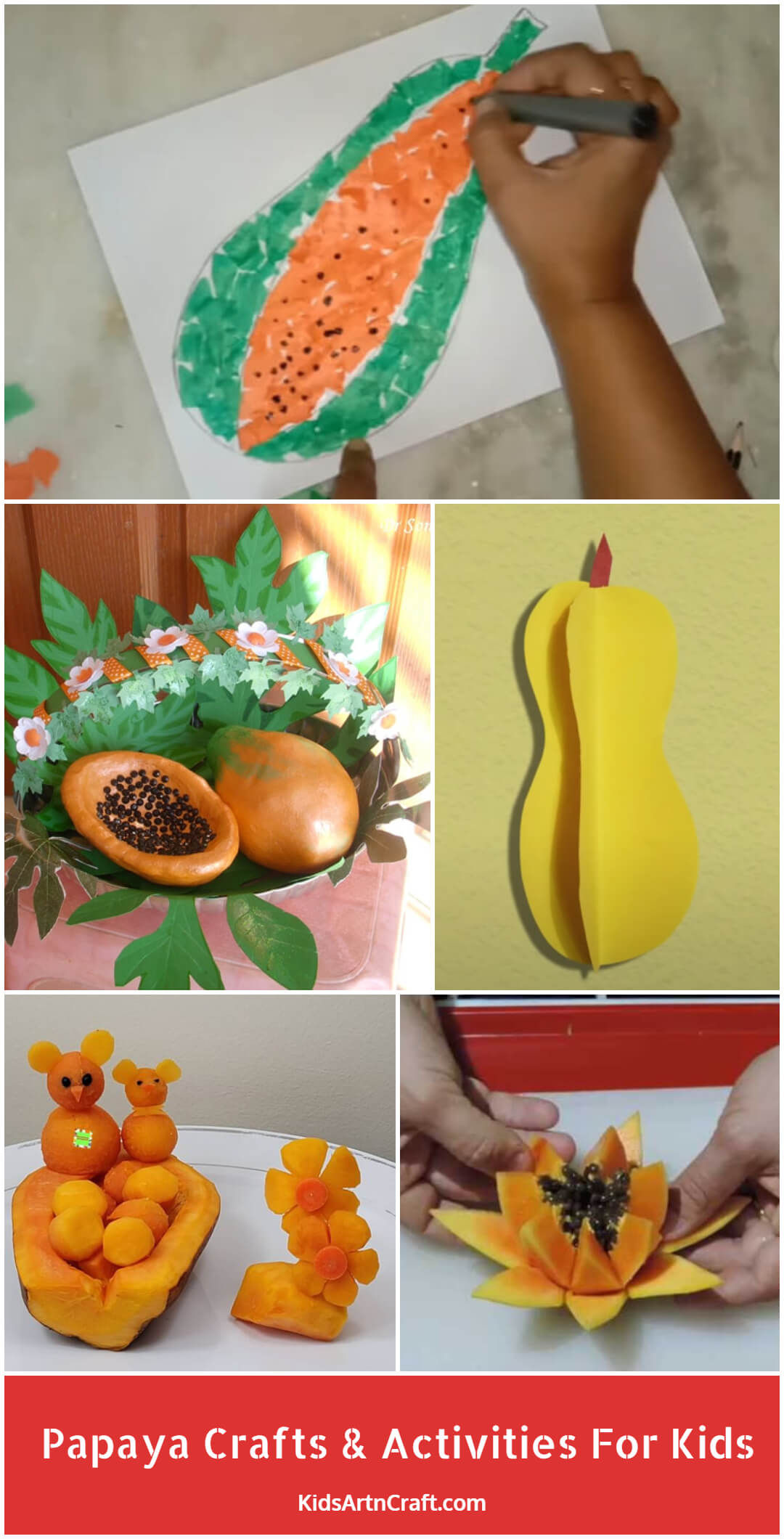 Papaya Crafts & Activities For Kids