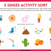Sense Activity Sorting Activities for Kids Featured Image