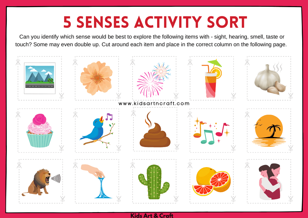 Sense Activity Sorting Activities for Kids-