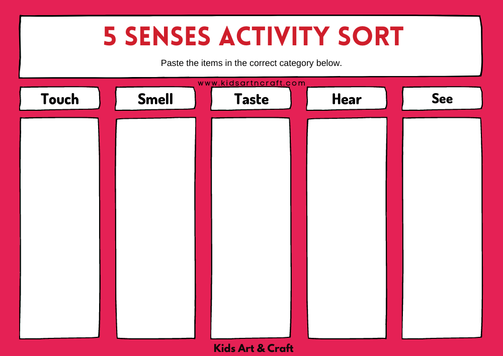 Sense Activity Sorting Activities for Kids-