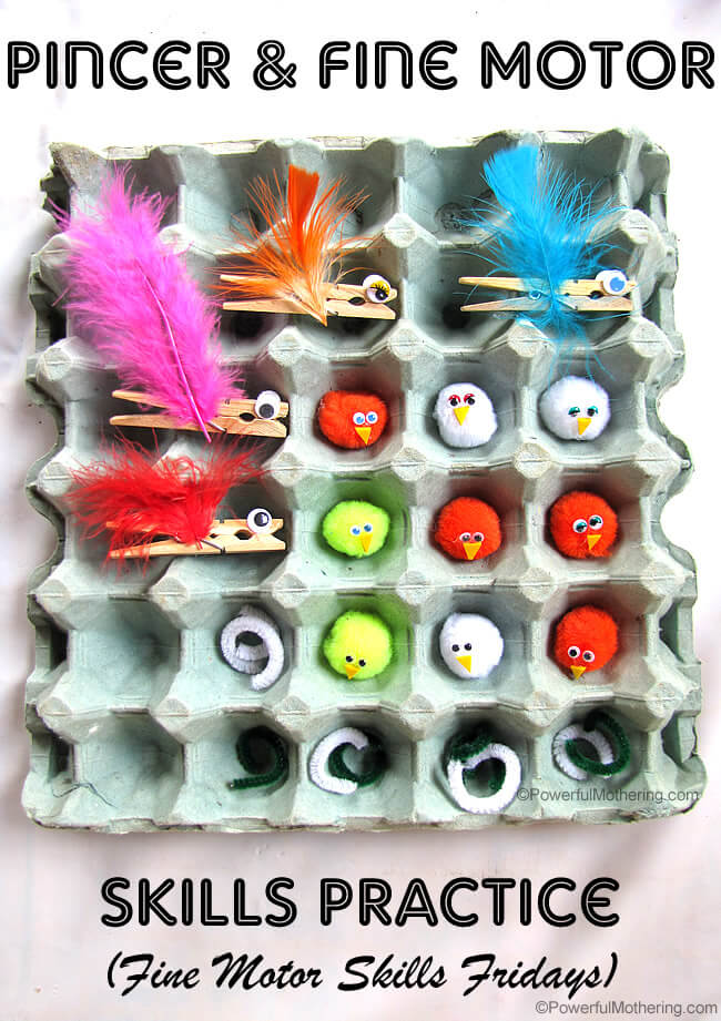 Simple Pincer & Fine Motor Birds Game Use With Egg carton