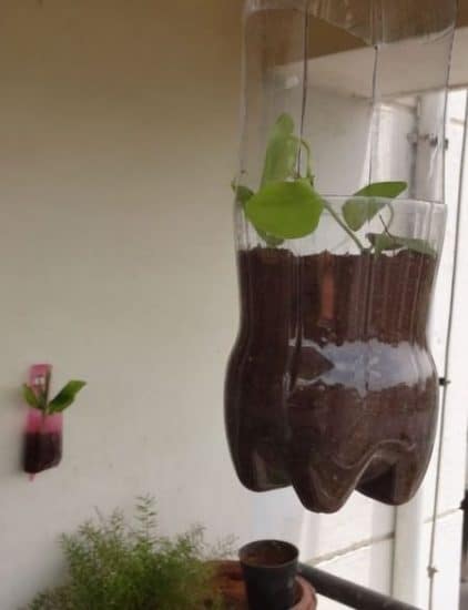 DIY Handmade Hanging Bottle Pot Craft Ideas For Planters
