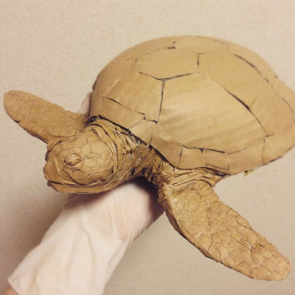 Turtle Cardboard Craft Ideas for Kids