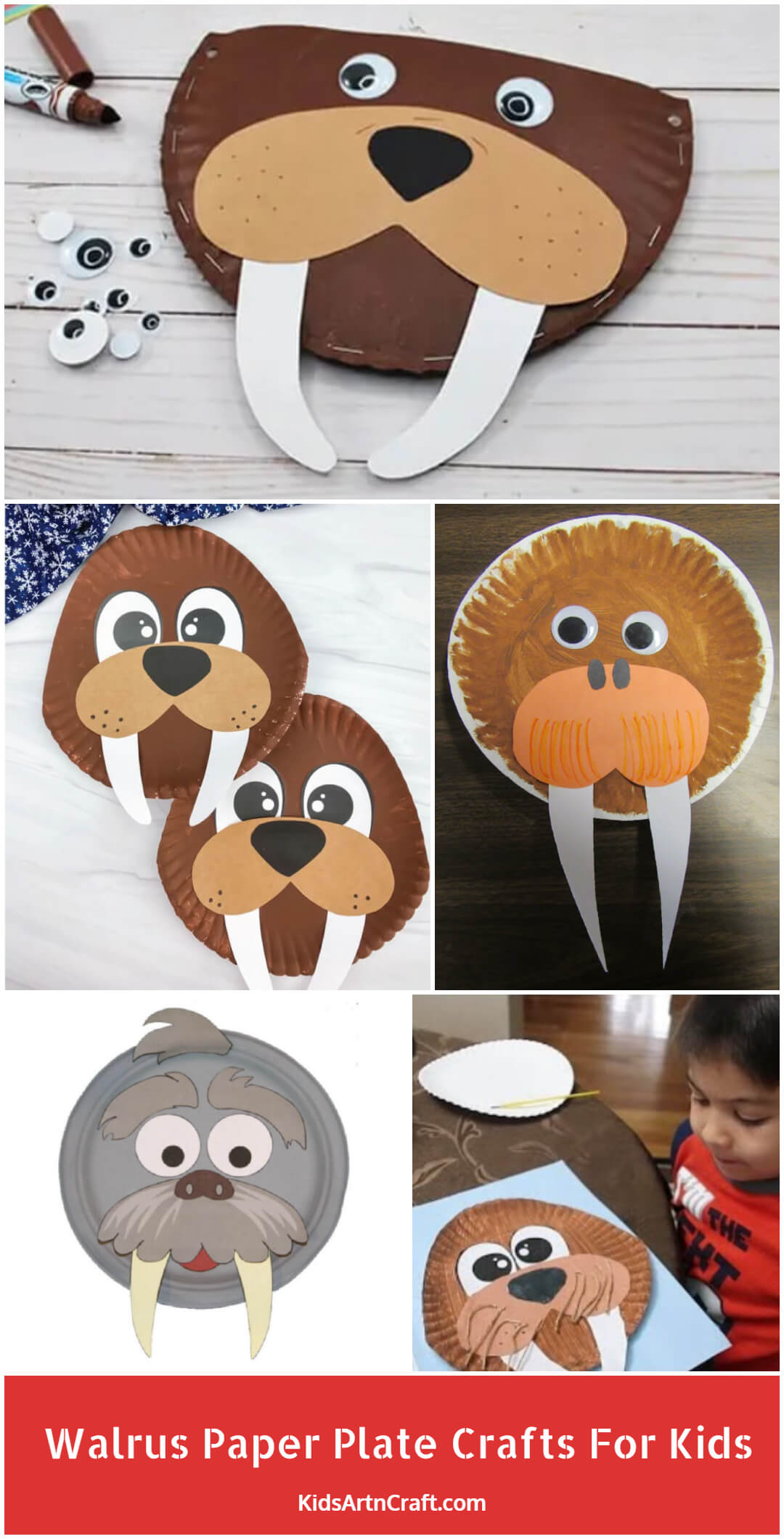 Walrus Paper Plate Crafts for Kids