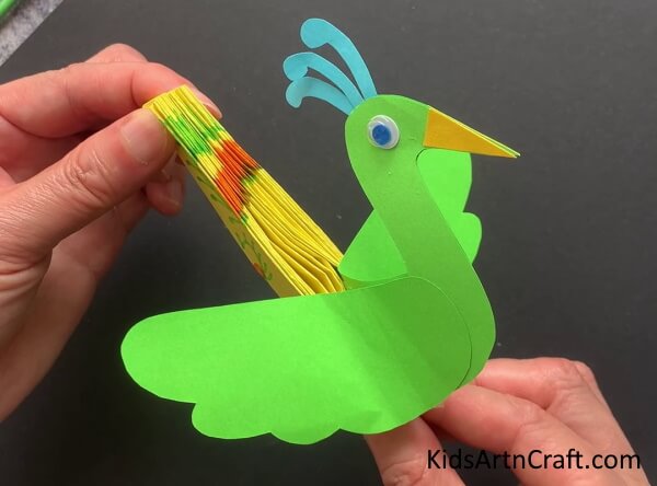 3D Peacock Paper Craft Creative Things to Do with Balloons DIY Felt Bookmark Ideas for Kids