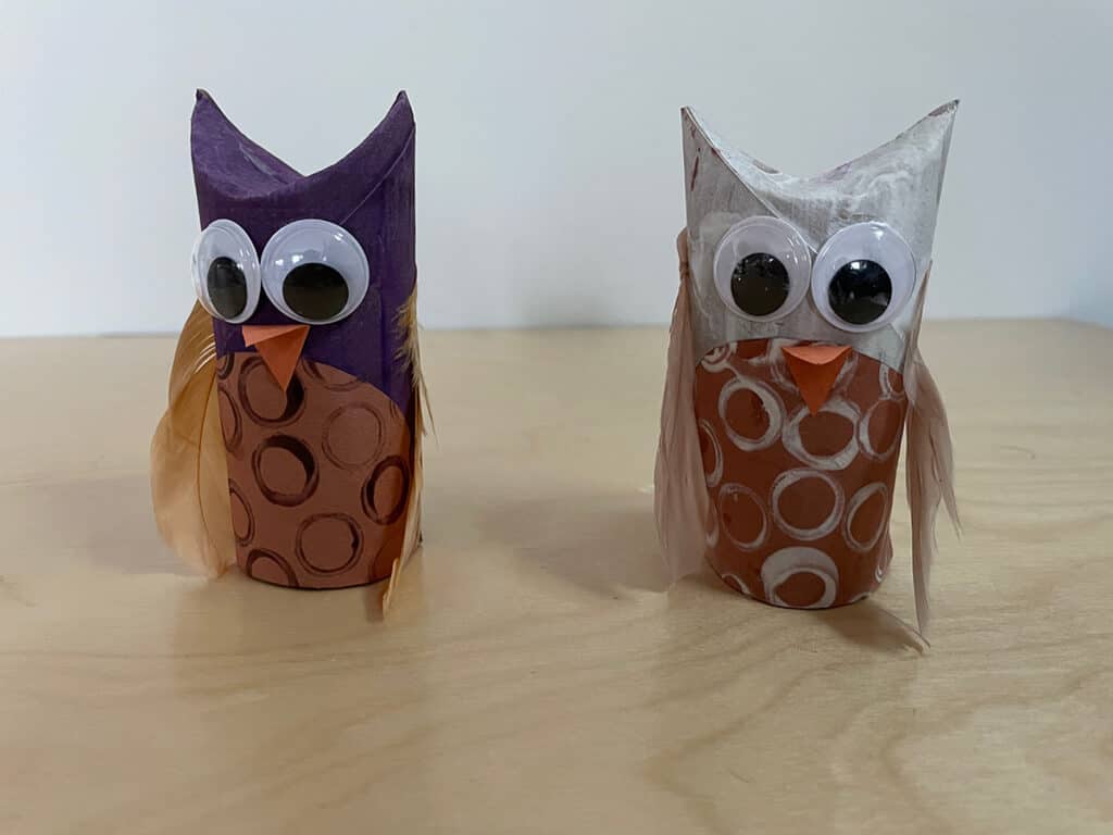 Recycled Owl Craft With Toilet Paper Roll