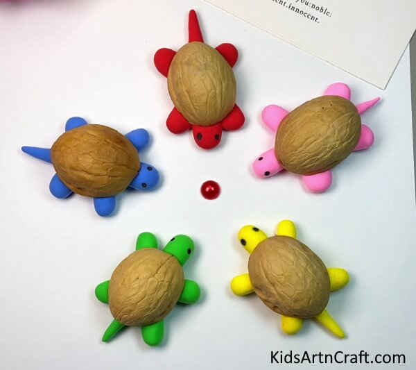 Turtle Art & Craft Using Clay & Walnut 
