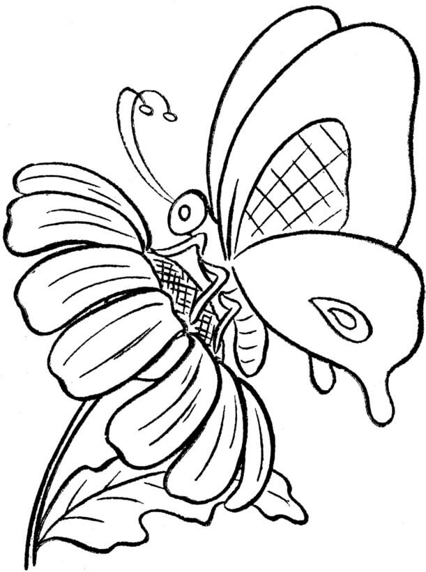 Beautiful Flower Drawing Tutorial Idea With Butterfly