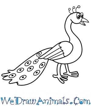 Cartoon Peacock Drawing Tutorial For Kids