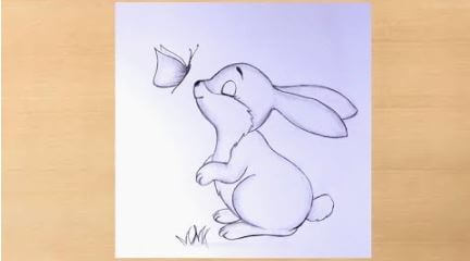 Cute Bunny Wall Pencil Art Drawing With Butterfly